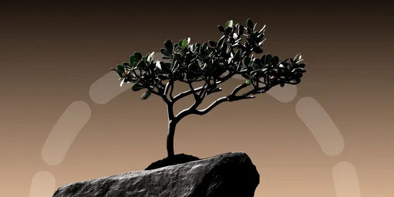 Minimalist illustration of a small tree with a twisted black trunk and dark green foliage with illuminated white leaf tips, growing on a textured gray rock against a warm taupe background with soft bokeh elements